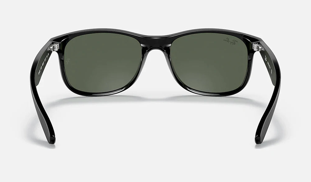 Ray-Ban ANDY RB4202 606971 55mm Black/Gray-Green