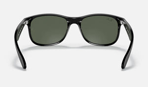 Ray-Ban ANDY RB4202 606971 55mm Black/Gray-Green