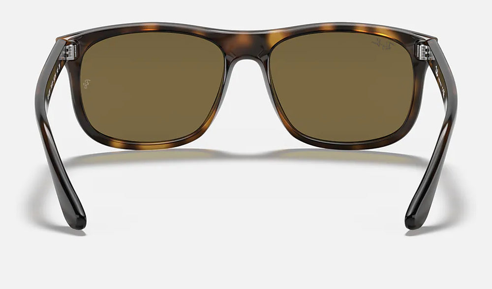 Ray-Ban  RB4226 710-73 56mm Tortoise/Brown