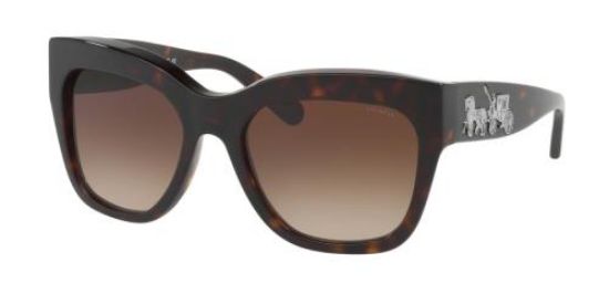 Coach HC8213 512013 Dark Tortoiseshell