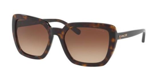 Coach HC8217 512013 Tortoiseshell/Brown