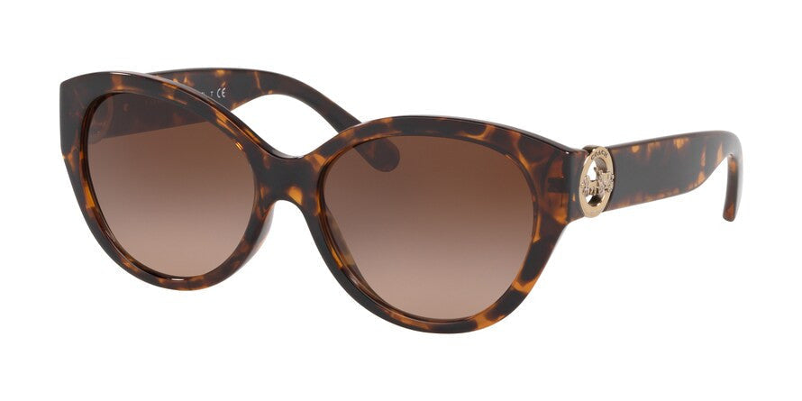 Coach HC8219 512013 Tortoiseshell/Brown Gradient